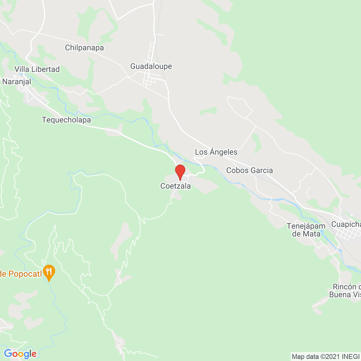 Coetzala