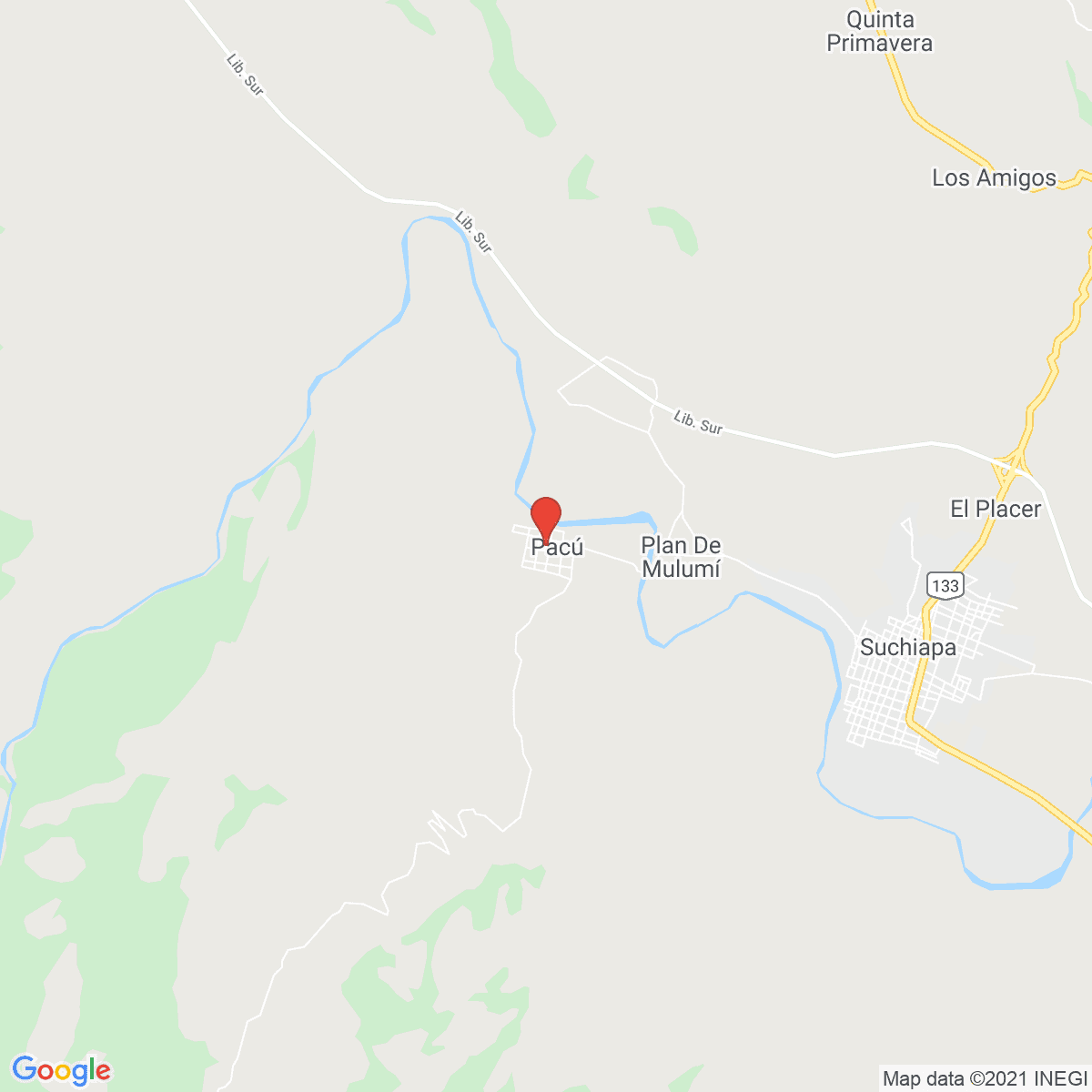 Pacú