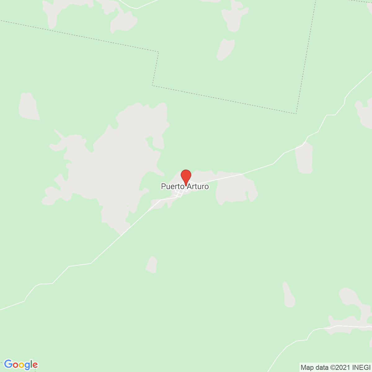 Puerto Arturo