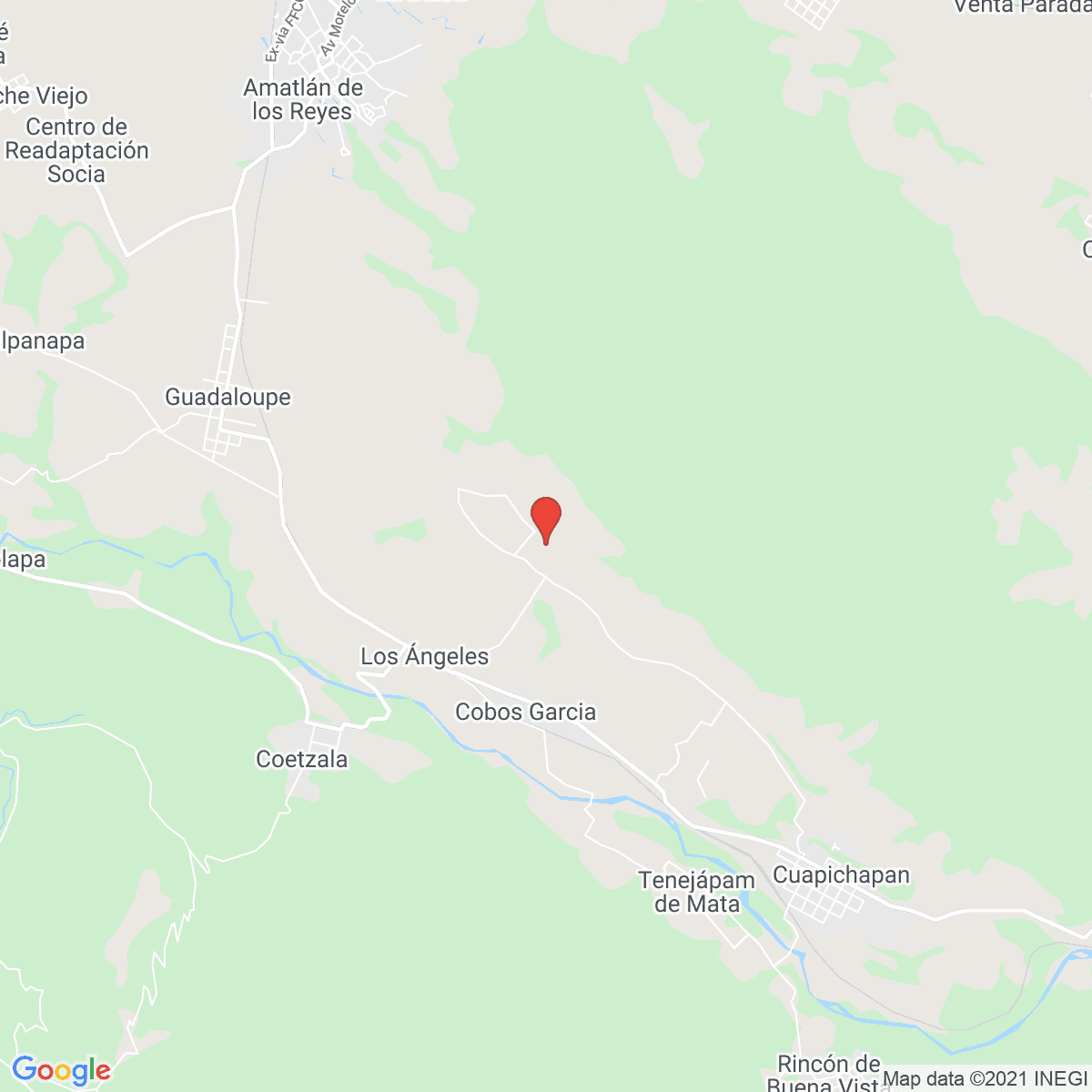 El Otate