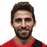 F. Borini