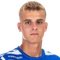 Haris Mesic