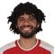 M. Elneny