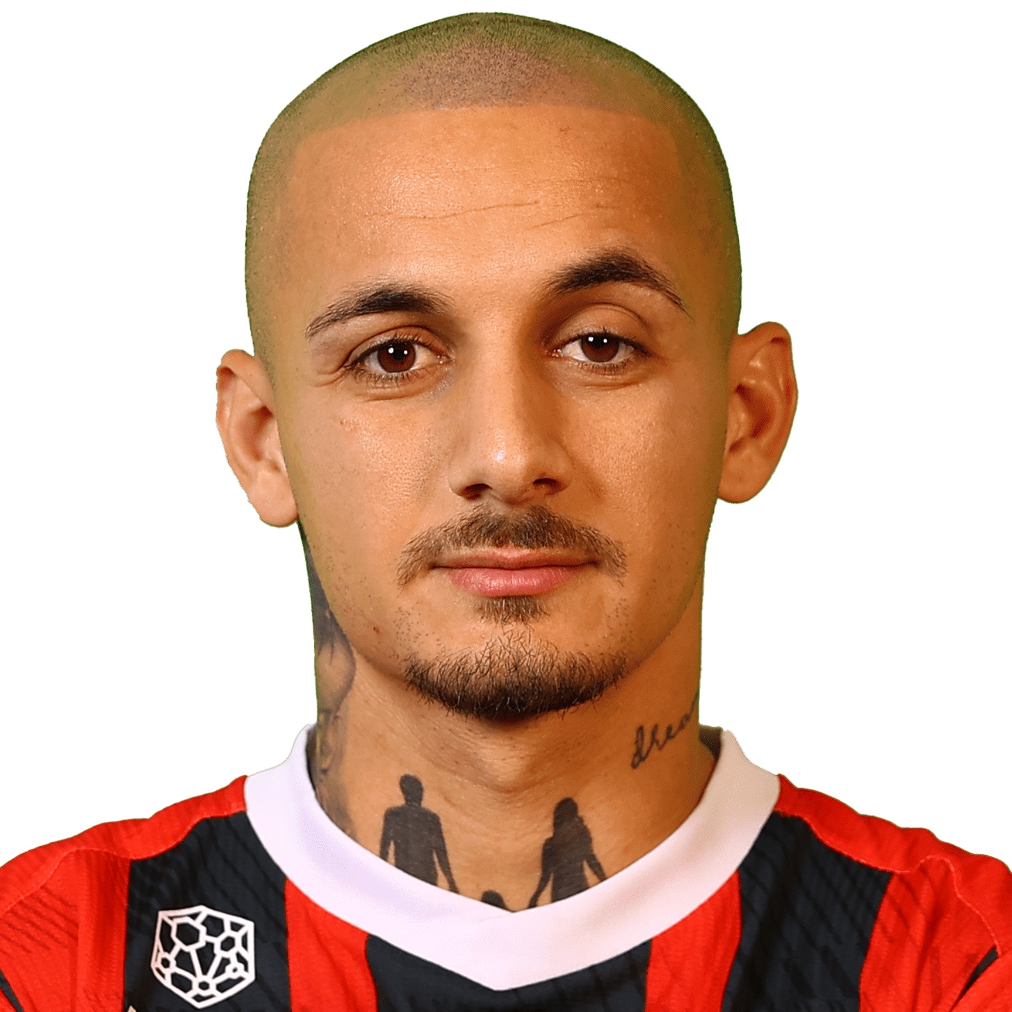 Free transfer A. Mitrita