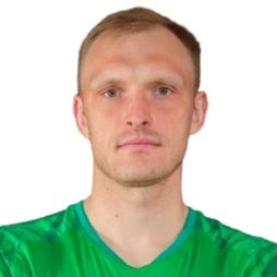 Free transfer N. Sotnikov