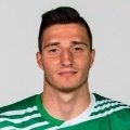 Free transfer Petar Pavlicevic