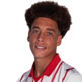Axel Witsel