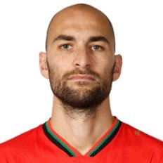 Released Bas Dost