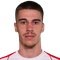 V. Braunovic