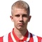 Victor Fjeldgaard
