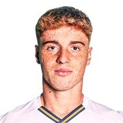 Gabriel Jesus Martelo