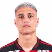 De Araujo Guimarães Neto