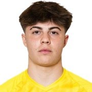 Dovžan Karahodžić