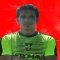 W. Vinces