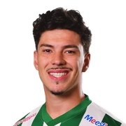 Henrique Carneiro Pedroso