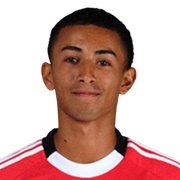 Bernardes Freitas Neto