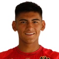 V. Vidal