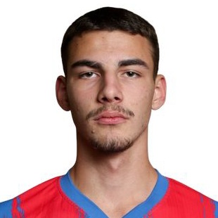 Nemanja Cetojevic