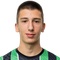 V. Radosavljevic