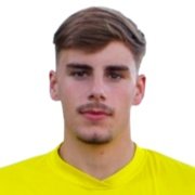 Leão Pipa Videira Lopes