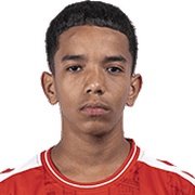 Meireles Paiva De Araújo