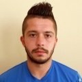 Free transfer Milan Makaric