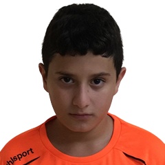Ali Alshalseh
