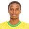 N. Nkosi