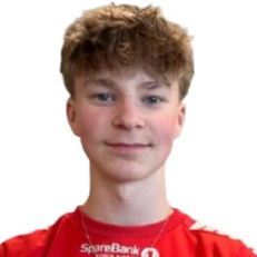 M. Mikkelsen