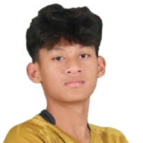 Mierza Firjatullah