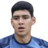 M. Orellana