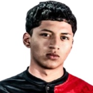Daniel Meneses
