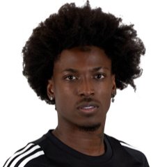 Victor Martins