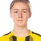 V. Bengtsson