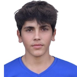 Izidor Horvat