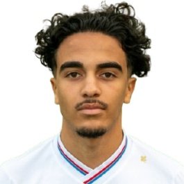 R. Koubini