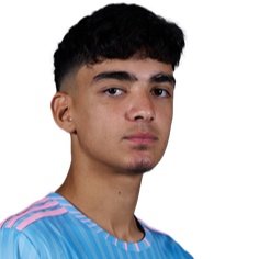 M. Louraoui