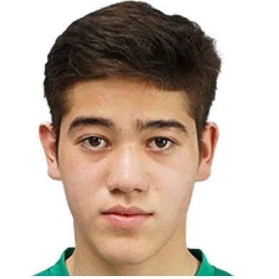 A. Baygaliev