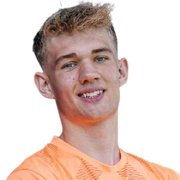 Vestergaard Henriksen