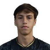 Dylan Castillo