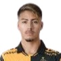 Gino Alfaro