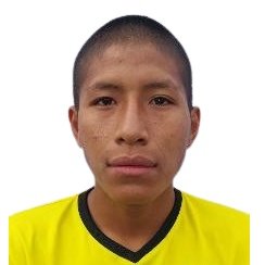 Andree Flores
