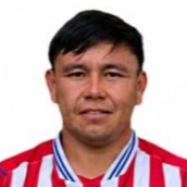 C. Paredes