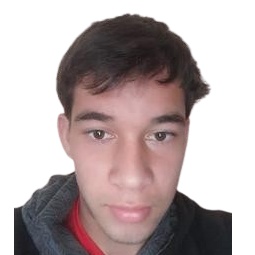 N. Merele