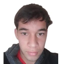 N. Merele