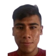 Alonso Gareca