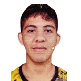 M. Pereira