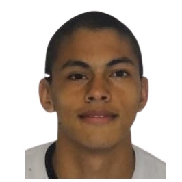 R. Ibarra