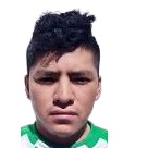 Bladimir Poma