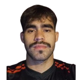 M. Insfrán